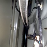 02042009079 02042009079